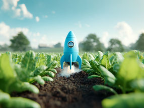 Smart fertilization with biosensor strips