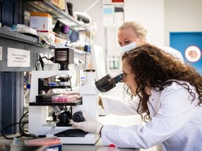 A therapeutic virus against cancer