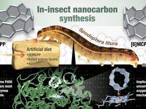 Insects as mini molecule-making factories, marking a breakthrough in chemical engineering