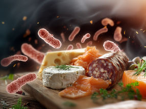 How food affects the survival of Listeria in the digestive tract