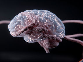 Mental Knots – A Proteins Role in Schizophrenia