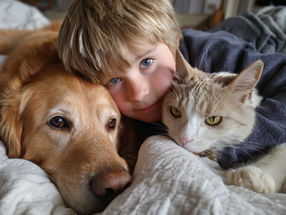 When dogs and cats make children ill