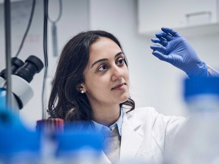 Intelligent wound dressing controls inflammation - ETH start-up is developing a granular hydrogel that selectively captures inflammatory signals from chronic wounds while also actively promoting healing