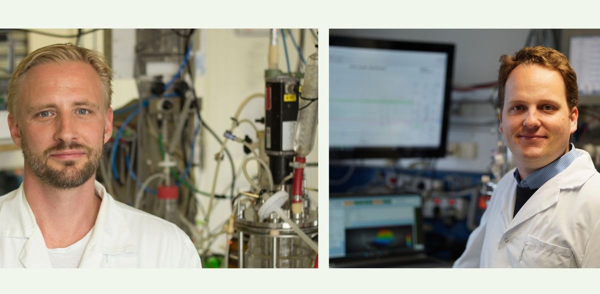 Patented turbo for immunotherapies against cancer