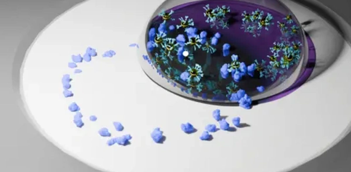 From COVID to cancer, new at-home test spots disease with startling accuracy