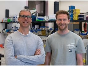 Which signalling pathways in the cell lead to possible therapies for Parkinson's disease