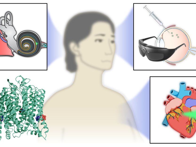 Improved “molecular light switch” promises help for blind, deaf and heart patients - A significant advancement in optogenetics