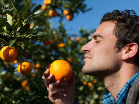 How do our genes influence our sense of smell?