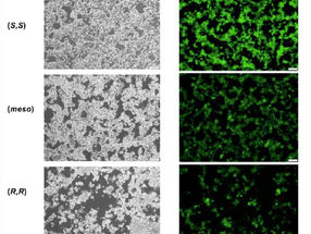 Shaping the future of mRNA based drug delivery
