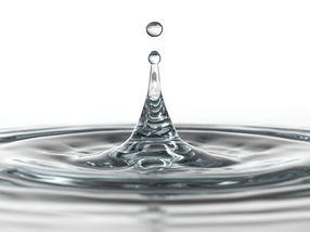New Discovery in Enzyme Research: Water is the Key for Activity