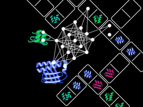 Playing Dominos: How an Artificial Protein Emerges from Fitting Together Individual Components
