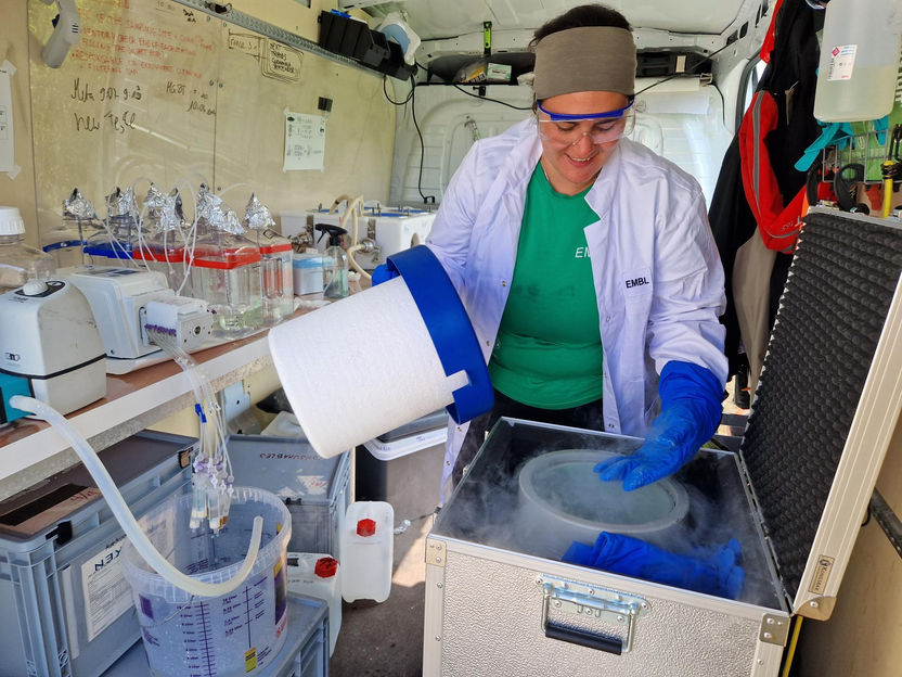 Mobile science for a planet in transition - With the support of the Klaus Tschira Foundation, the European Molecular Biology Laboratory (EMBL) is ushering in a new era in the life sciences