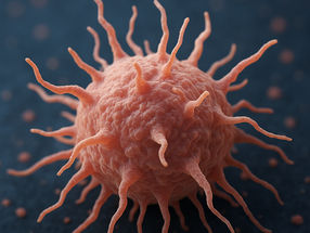 How immune cells switch into attack mode