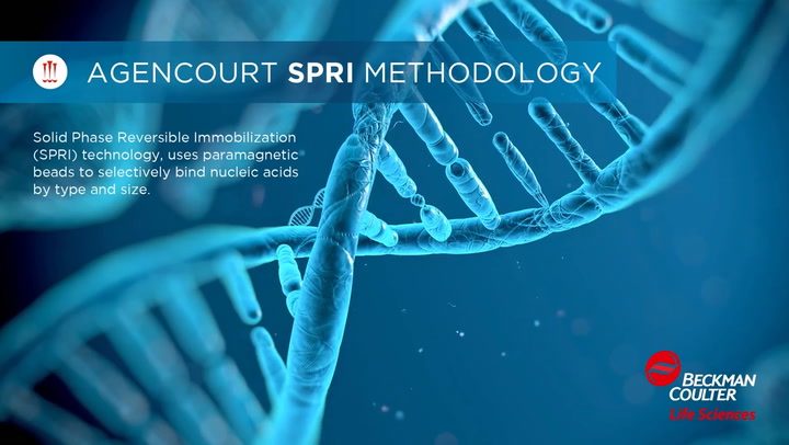 Reagents for Nucleic Acid Purification, Isolation, Extraction and Clean-up