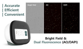One-Step AO/DAPI Fluorescent Staining
