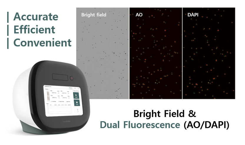 One-Step AO/DAPI Fluorescent Staining