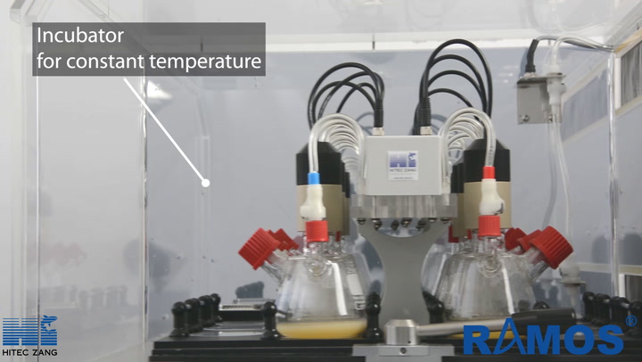 Shaken bioreactors with in-situ gas analysis