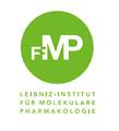 Leibniz-Institut für Molekulare Pharmakologie im Forschungsverbund Berlin e.V. (FMP)