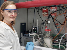 Mix and Match: How a Methanogen creates its own sulfate reduction machinery